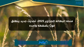 منحة البطالة الجزائر 2025: تحديث جديد ينطلق فورًا بضغطة واحدة
